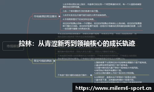米乐m6体育官方网站